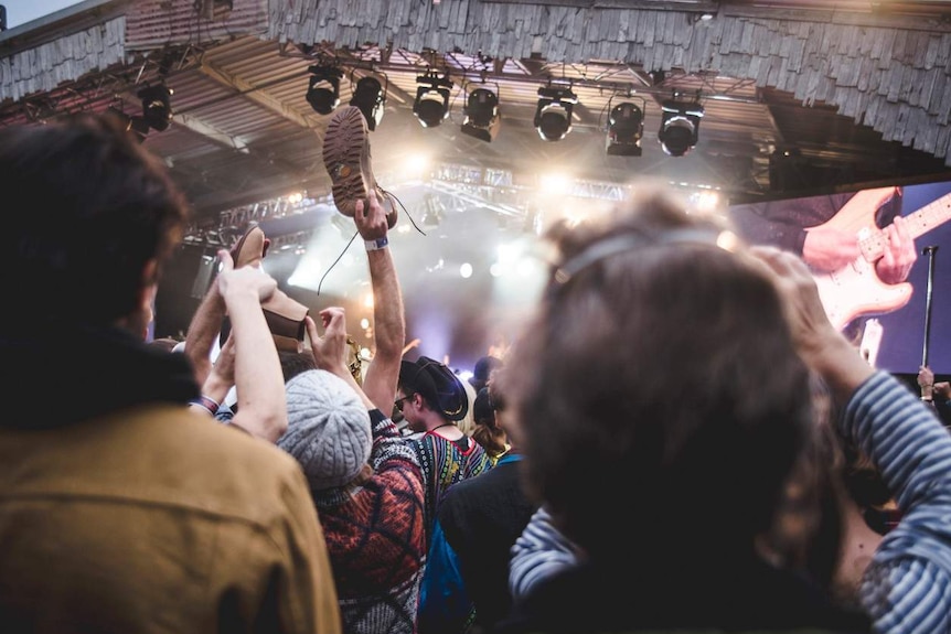 A photo taken from among the crowd at a music festival looking up at the stage.