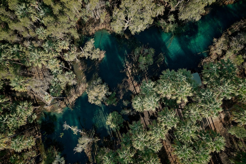 An aerial shot of Bitter Springs with trees surrounding it. 