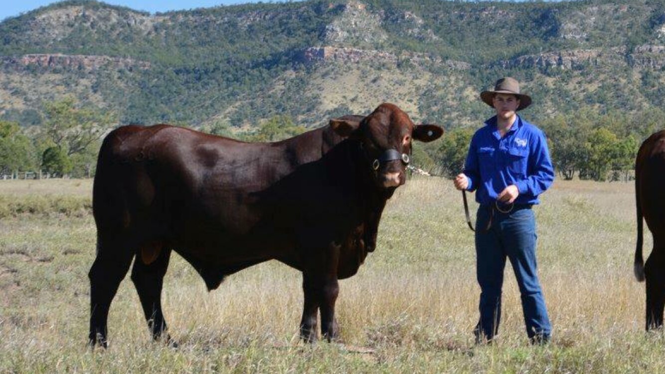 Murdoch University veterinary students to undertake new and extensive