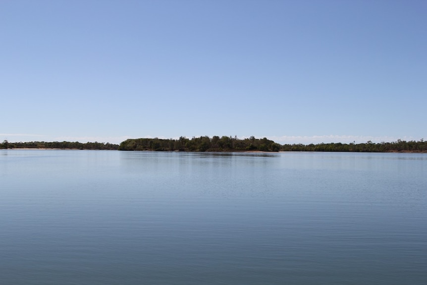 a river with scrubby banks