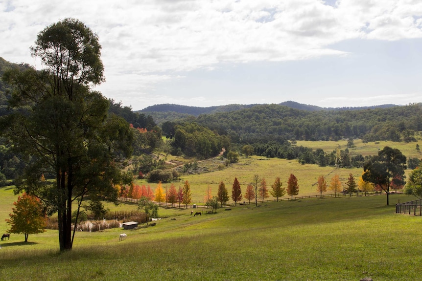 Rolling green paddocks stretch towards hills in the background.