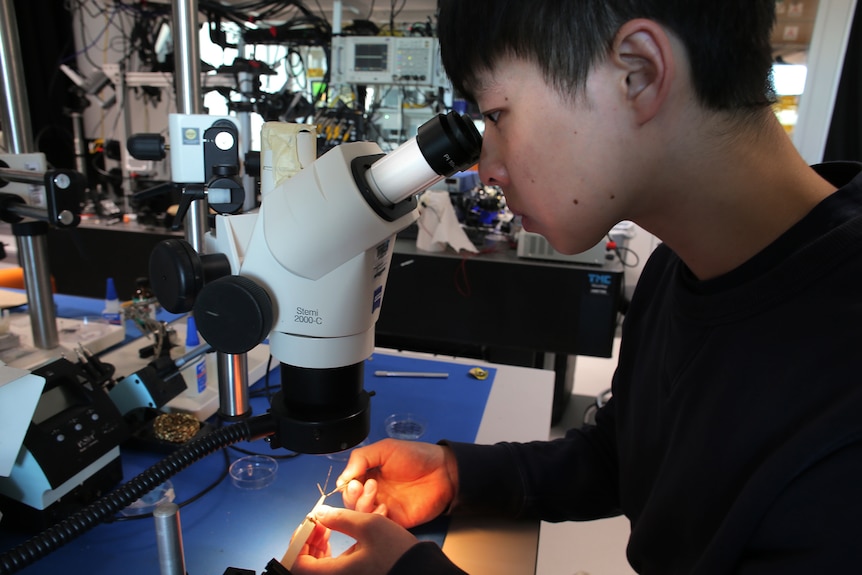 A young man looks into a microscope at a lab, assembling a robotic bee