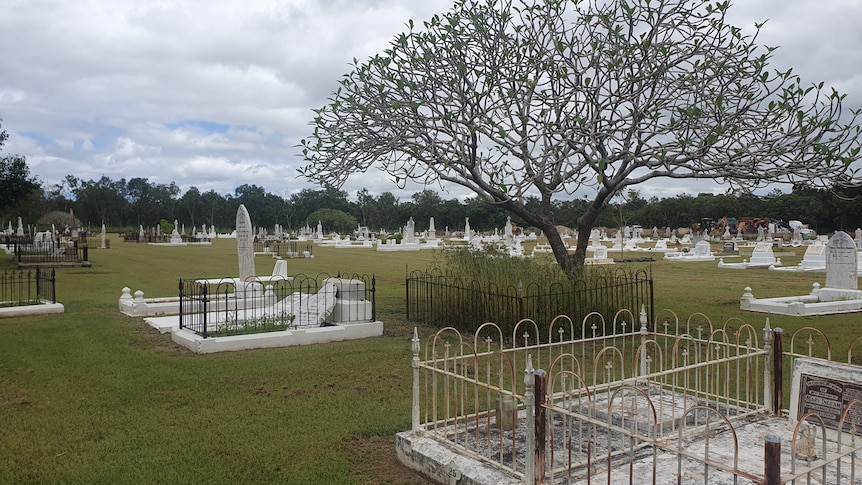 Headstones painted white spread out across a lawn cemetery.