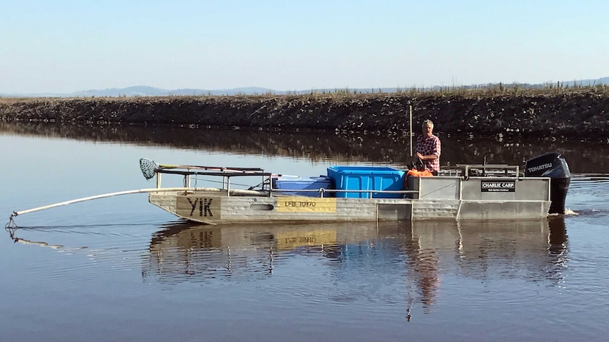 A fisheries officer in a boat on the pondage.