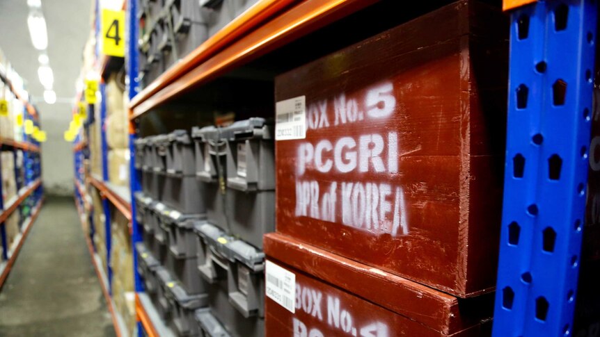 Timber boxes from North Korea containing their contributions to the Global Seed Vault stand out from the other samples.