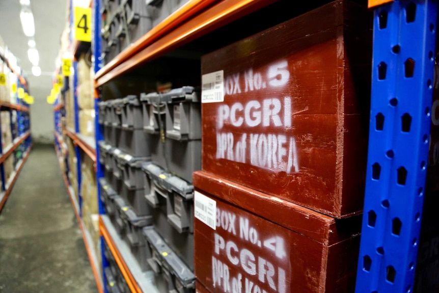 Timber boxes from North Korea containing their contributions to the Global Seed Vault stand out from the other samples.