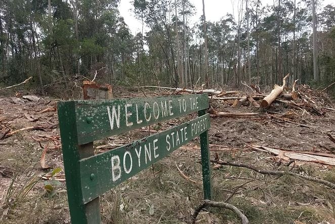 A green wooden sign in a forest surrounded by felled trees, saying, Welcome to the Boyne State Forest.