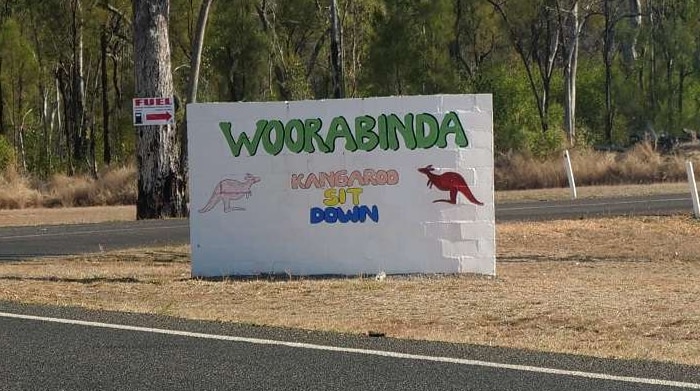 Light eucalyptus forest surrounds a white sign, which has the words Woorabinda kangaroo sit down