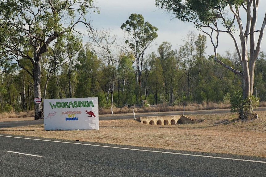 Light eucalyptus forest surrounds a white sign, which has the words Woorabinda kangaroo sit down