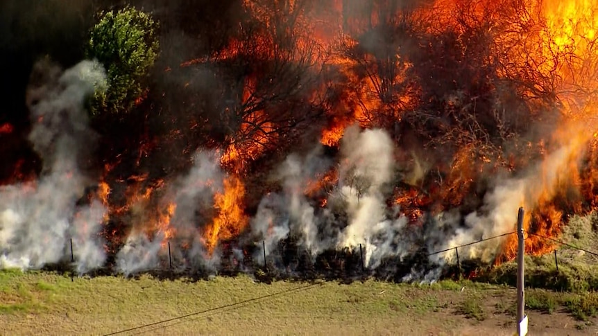 flames from a bushfire