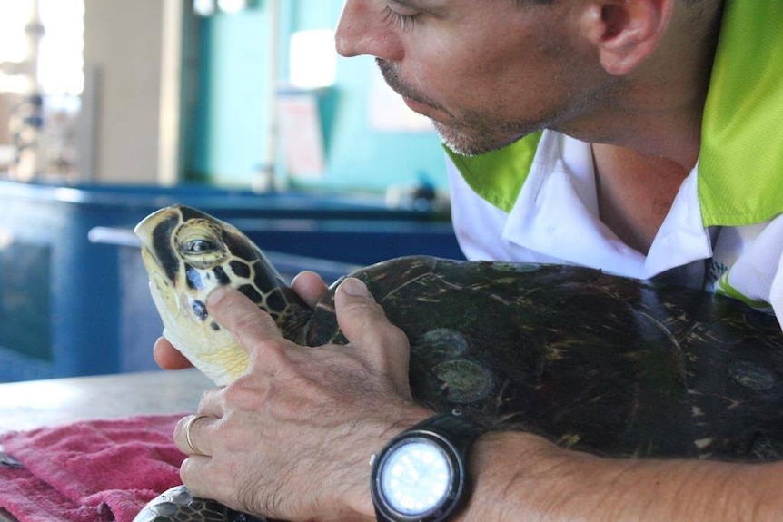 A man holds the head of a sea turtle who is resting inside a turtle hospital