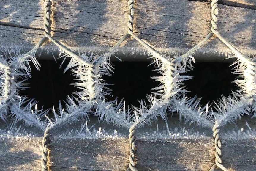 Metal fence with hexagonal  holes filled with ice crystals.