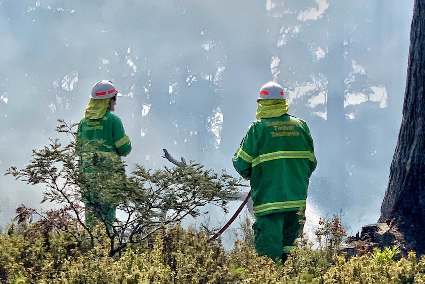 Fire-fighters near smoky bushland.