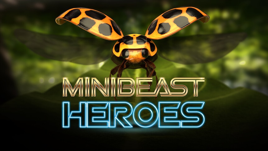 Ladybird with wings open, text reads Minibeast Heroes
