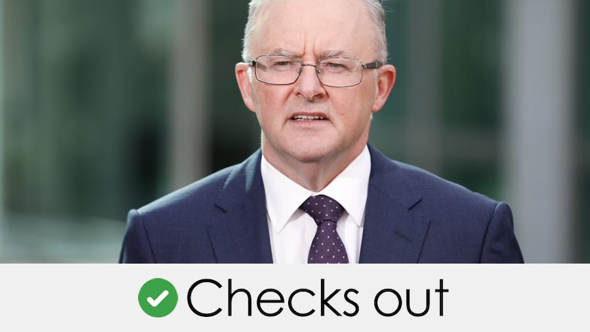 Anthony Albanese wearing glasses and speaking at a doorstop. Verdict: checks out with a green tick