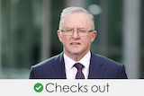 Anthony Albanese wearing glasses and speaking at a doorstop. Verdict: checks out with a green tick