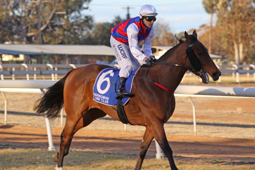 Jockey Michael Hackett riding.