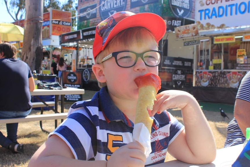 a child eating a big sausage on a stick