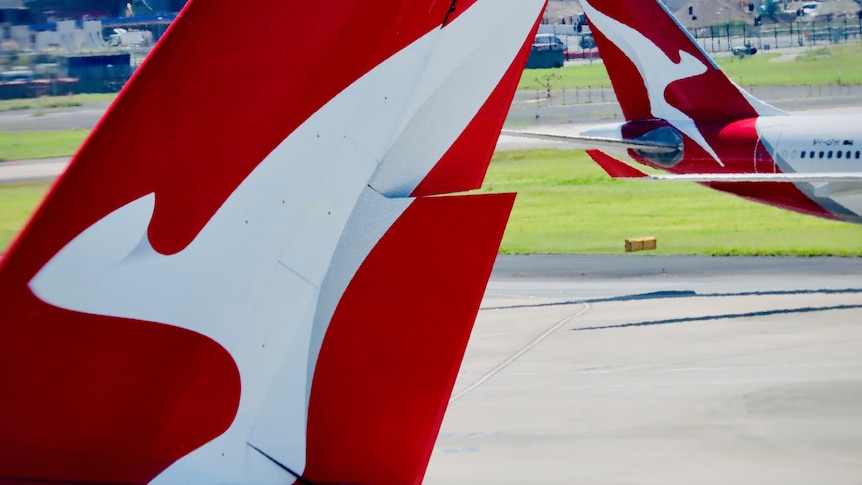 Permettre à Qatar Airways d’ajouter des vols pour concurrencer Qantas aurait réduit les tarifs aériens, selon l’organisme de surveillance de la concurrence.
