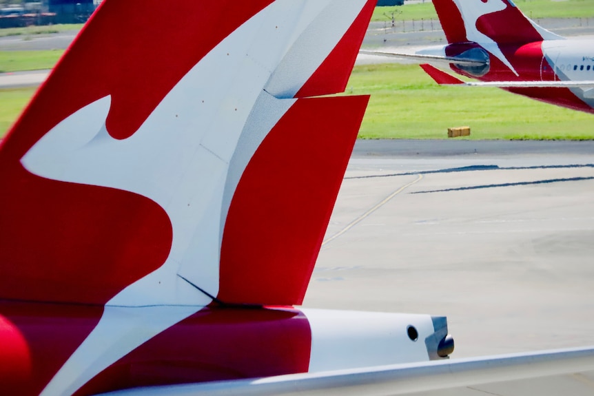 The tails of Qantas planes showing the flying kangaroo pass each other at Sydney Airport.