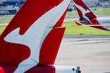 The tails of Qantas planes showing the flying kangaroo pass each other at Sydney Airport.