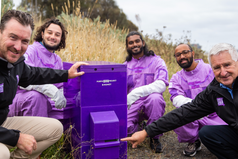 Five men involved in the Purple Hive Project stand around one of their beehives which is bright purple in colour.