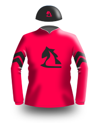 Jockey silks