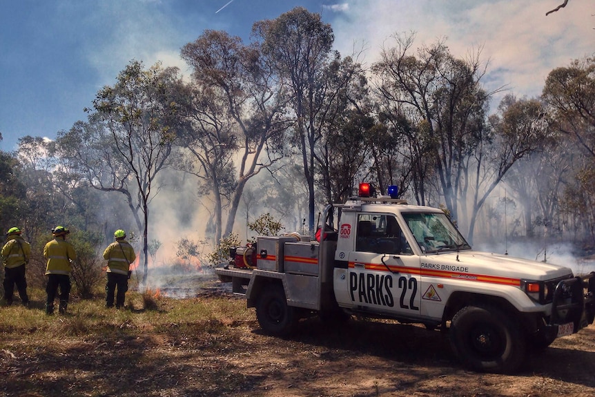 Rural fire fighters oversee a hazard reduction burn near Black Mountain in Canberra. 21 March 2014.