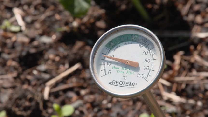 The face of a thermometer stuck in soil.