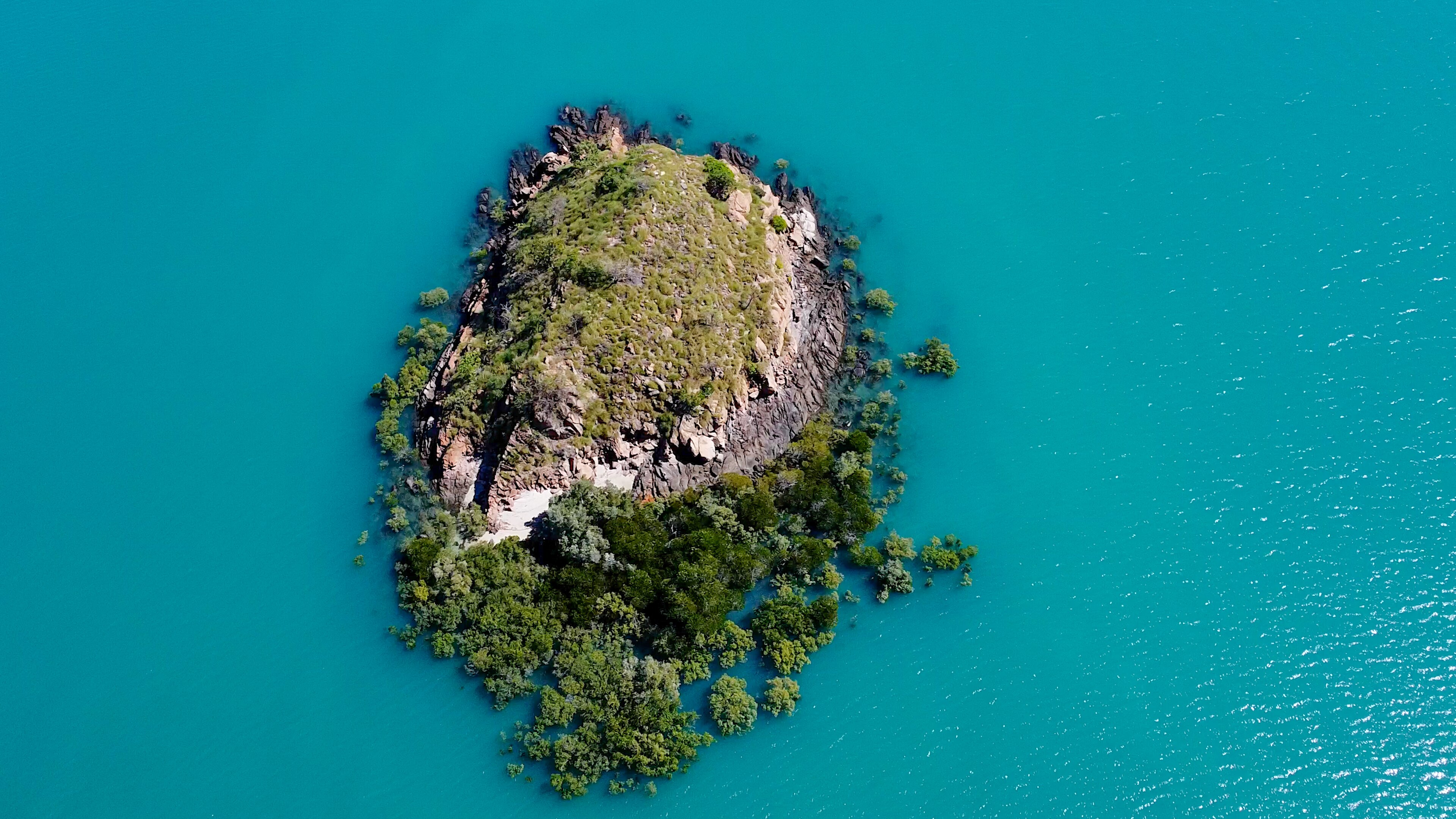 A rocky island surrounded by mangroves, surrounded by blue water at high tide