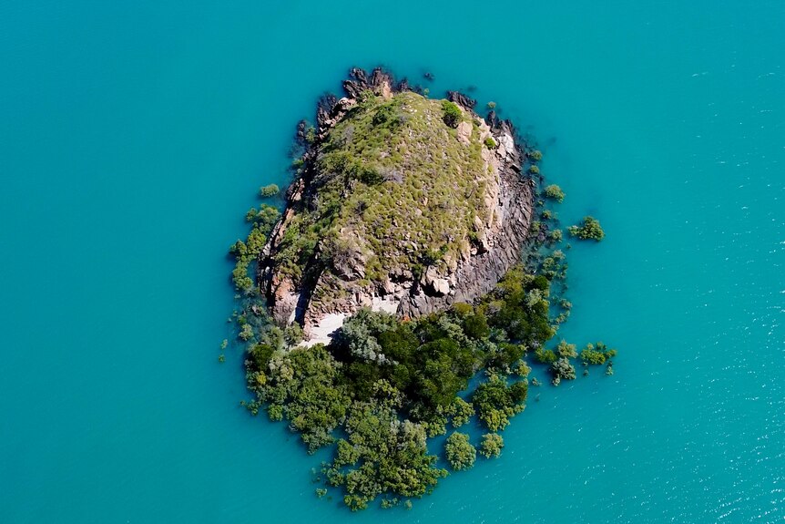 A rocky island surrounded by mangroves, surrounded by blue water at high tide