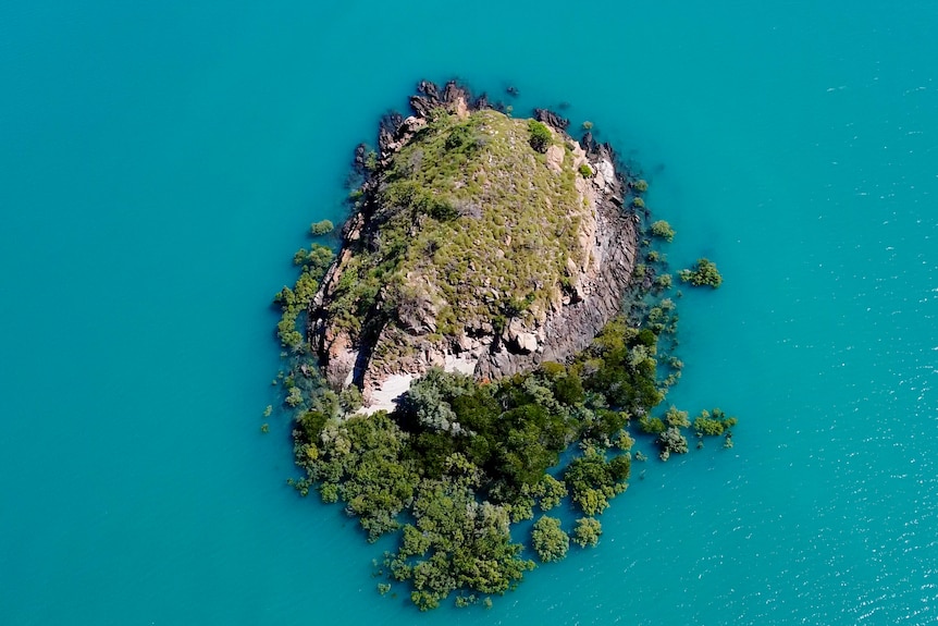 Скалист остров, заобиколен от мангрови гори, заобиколен от синя вода по време на прилив