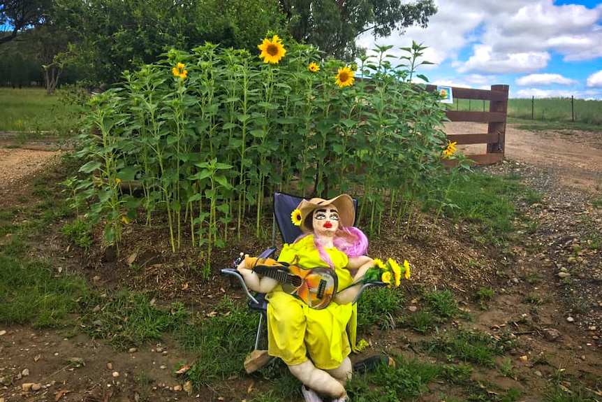 a scarecrow dressed like a lady with a guitar sitting in front of tall sunflowers