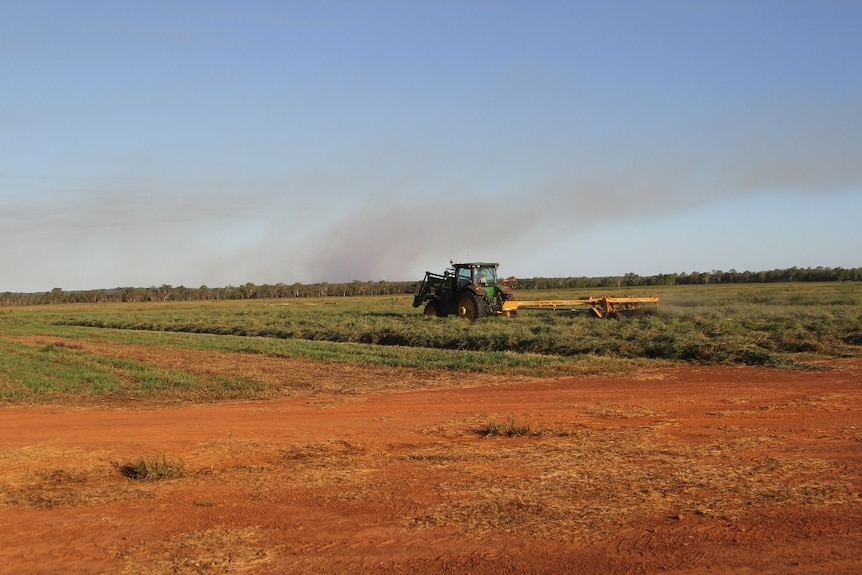 A tractor cutting hay in a paddock
