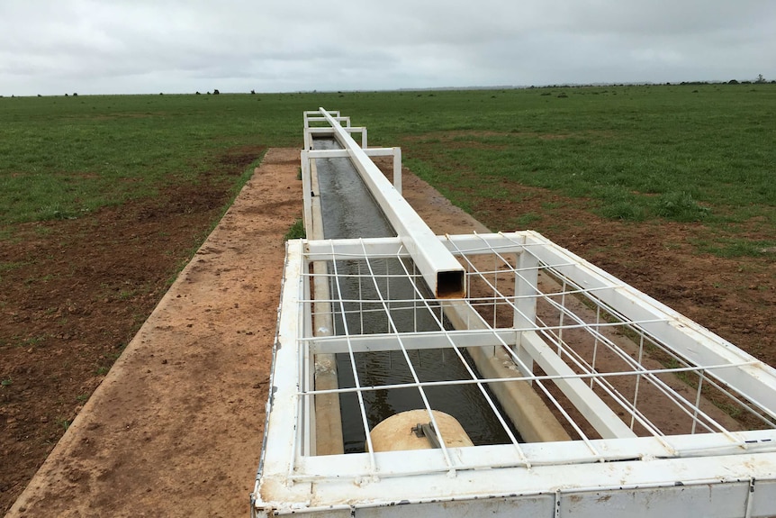 A water trough in a paddock.