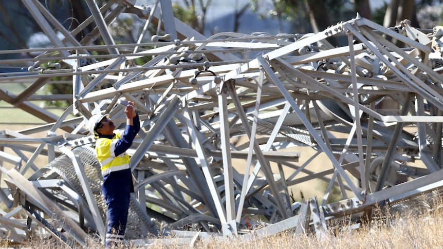 Worker inspects transmission tower.
