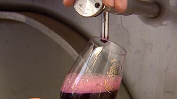 Resveratrol enabled the mice to live longer than other obese mice. (File photo)