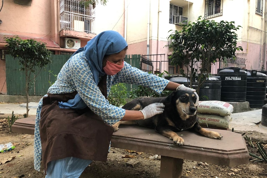 Sonya patting a black dog on a bench in New Delhi