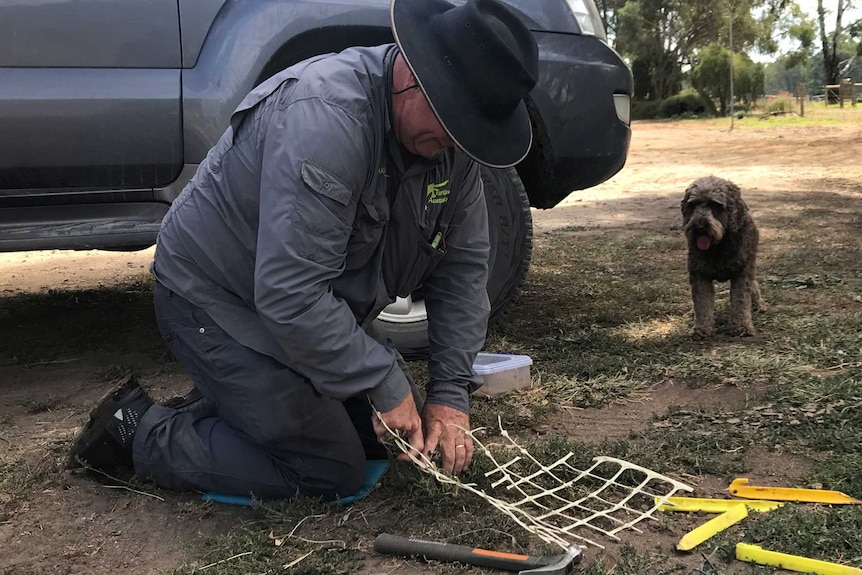 Graham Stockfeld crouches over a small hole in the ground laying plastic trellis.