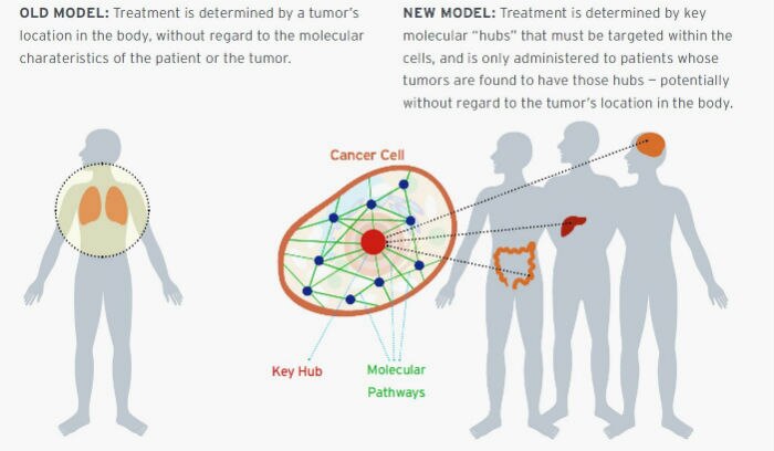 Cancer pathology tissue origin model