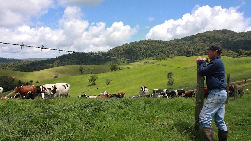 Eungella farmer Ben Fredrickson has sold his dairy herd.