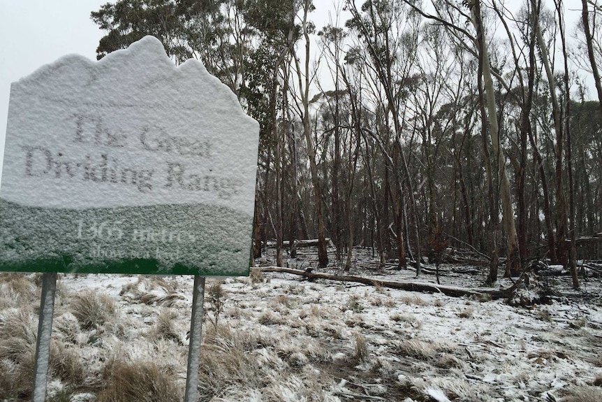 Light snow on grass and trees and partially obscuring a sign reading 'Great Dividing Range' at Jenolan Caves.