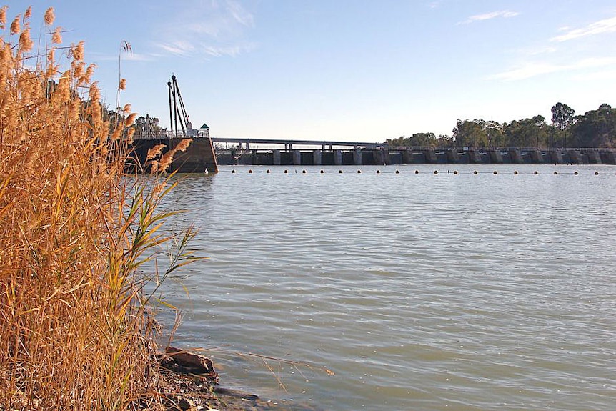 Shot of the river taking up two-thirds of the width of image, with brown vegetation to the left and a loch in the distance 