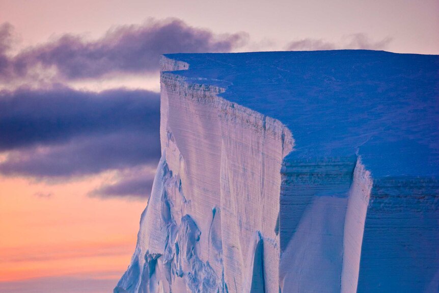 An iceberg in the sunset