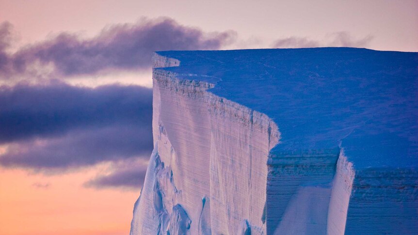 An iceberg in the sunset