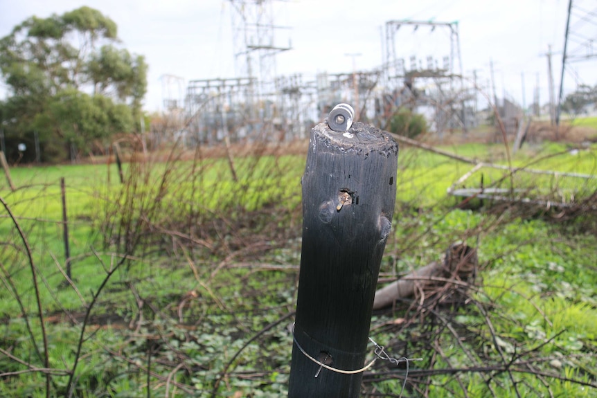 A blackened wooden post stands in a grassy field.