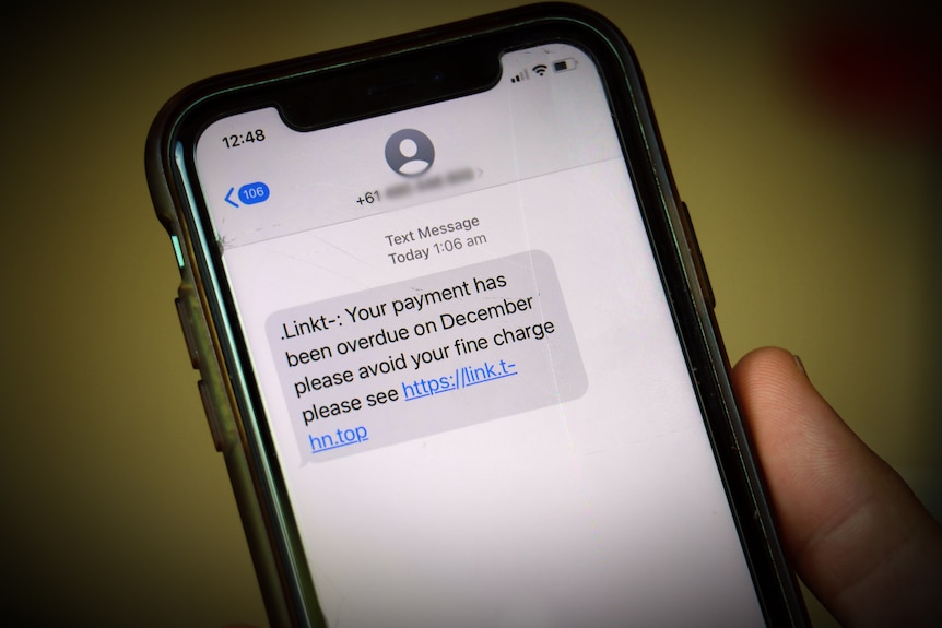 A person holding a phone showing a scam text message