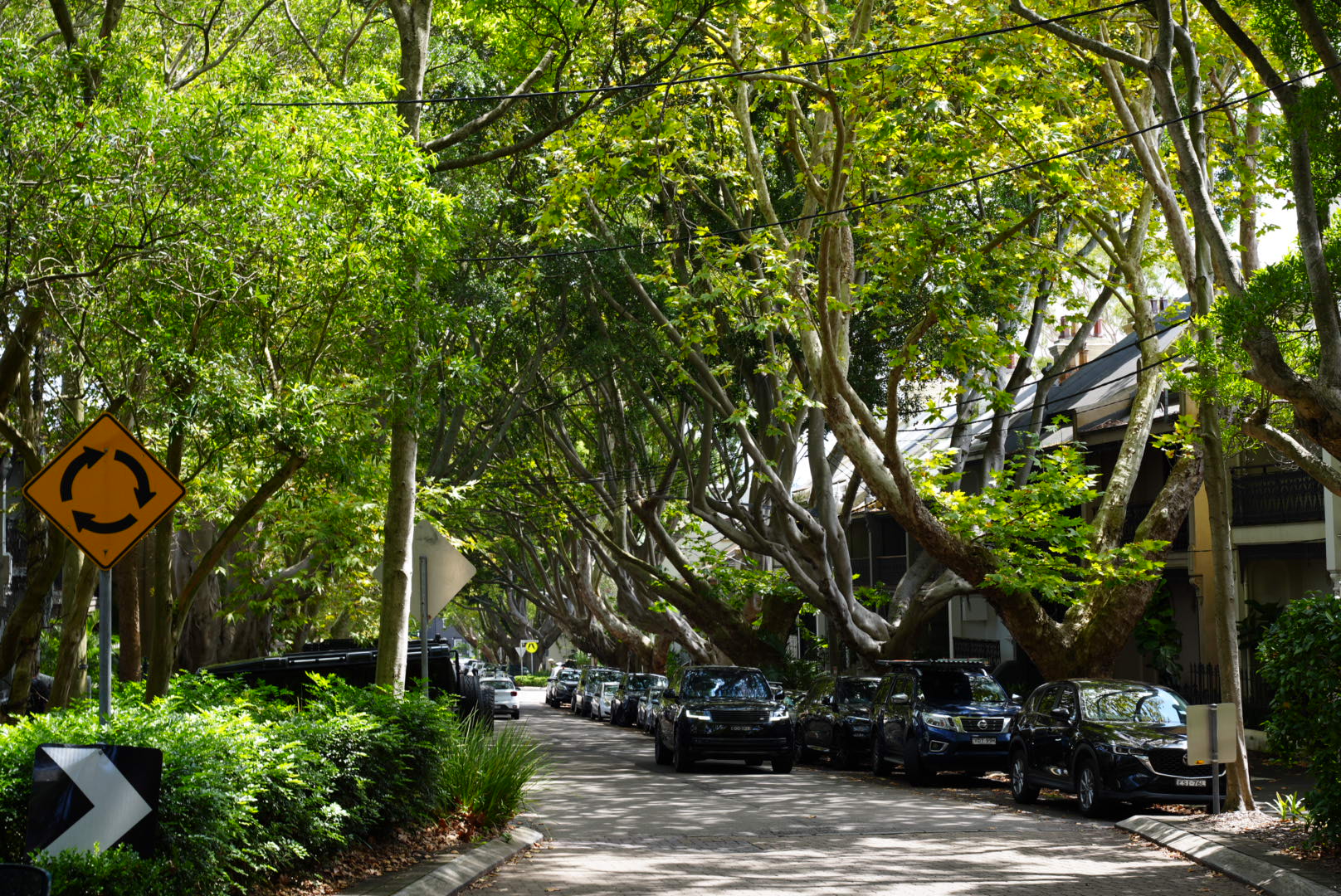 Having a leafy street could boost property values — depending where the trees are