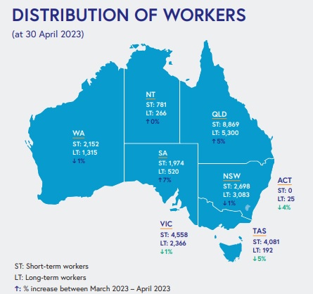 Map of Australia, figures show how many PALM workers in each state.