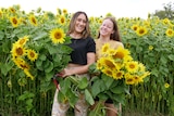 Two girls hold huge bunch of sunflowers in front of wall of flowers.